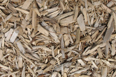 biomass boilers Cold Ash